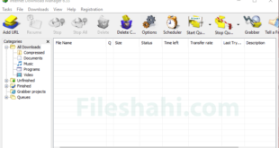 Internet Download Manager (IDM) 6.33 Review 2019